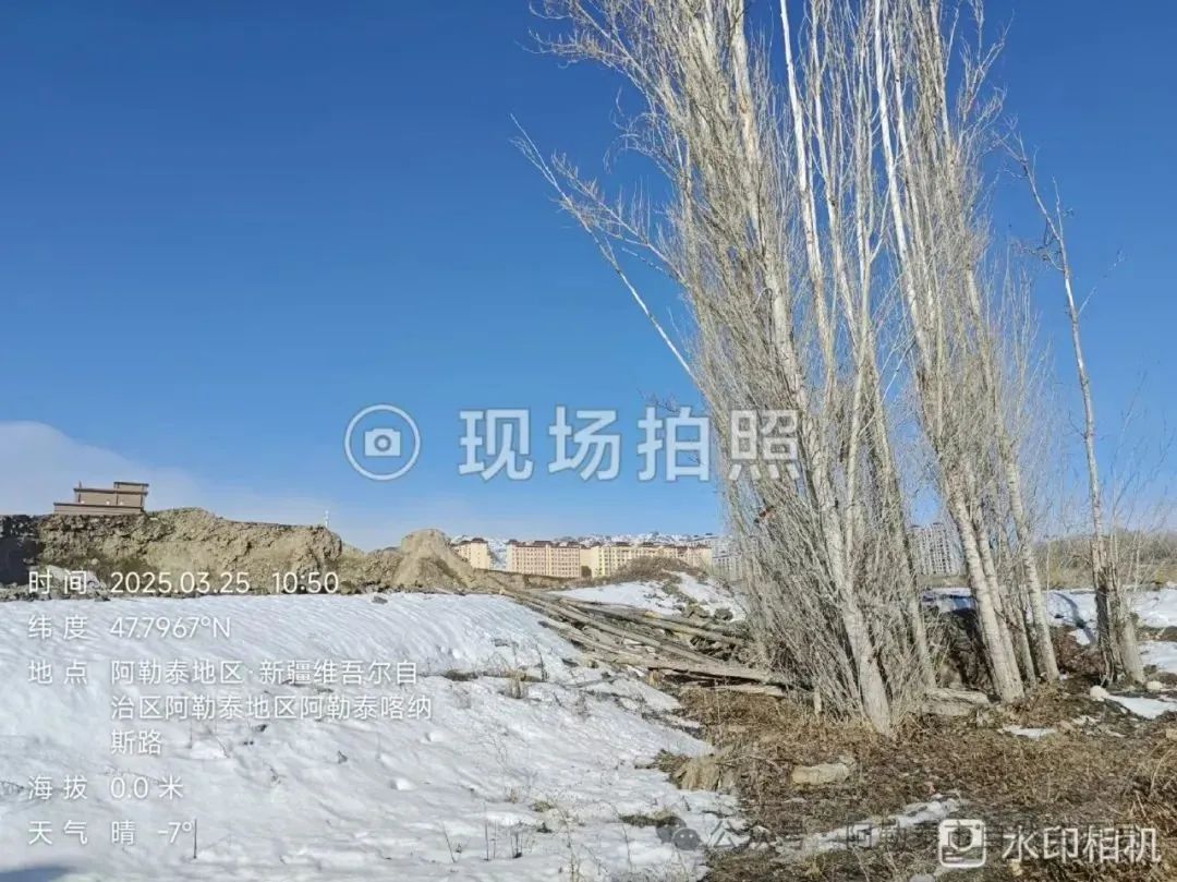 现场照片4.png 图片