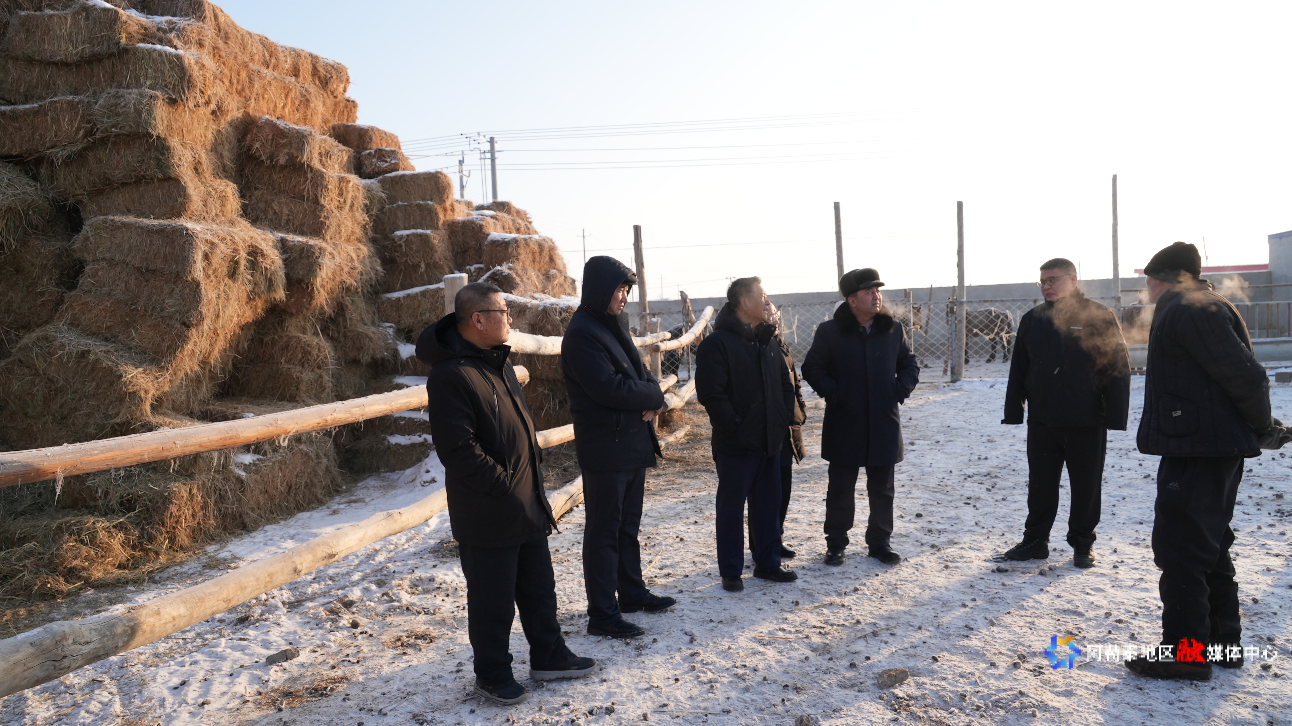 mmexport1735137171183