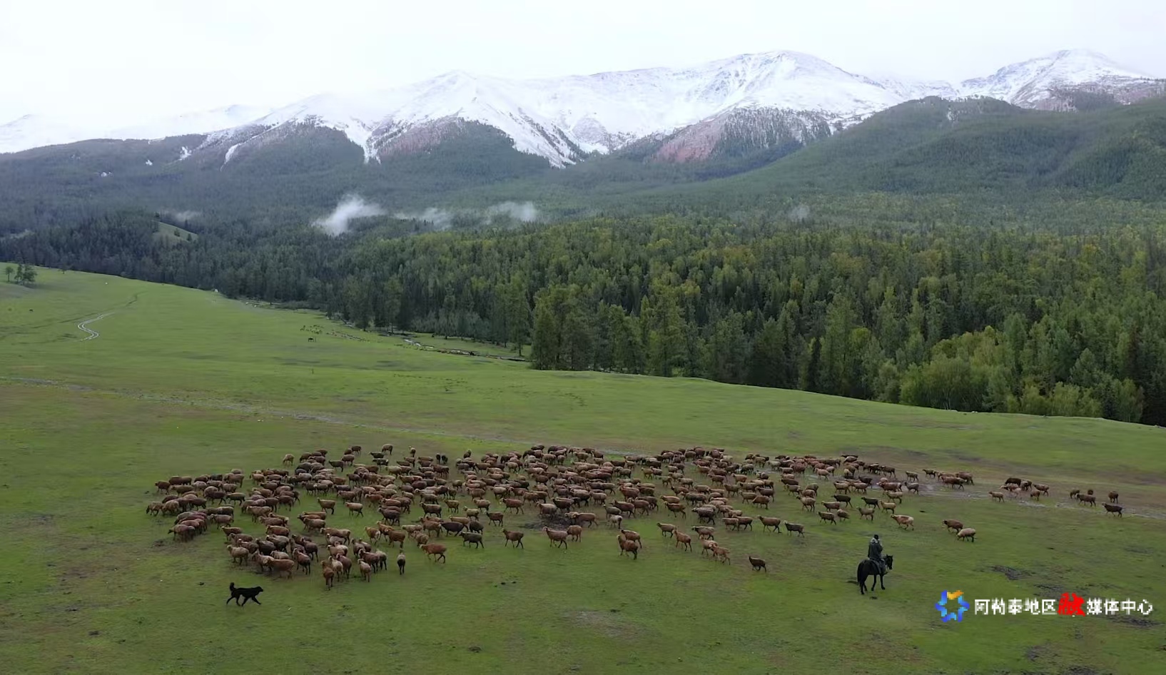 mmexport1743350072463