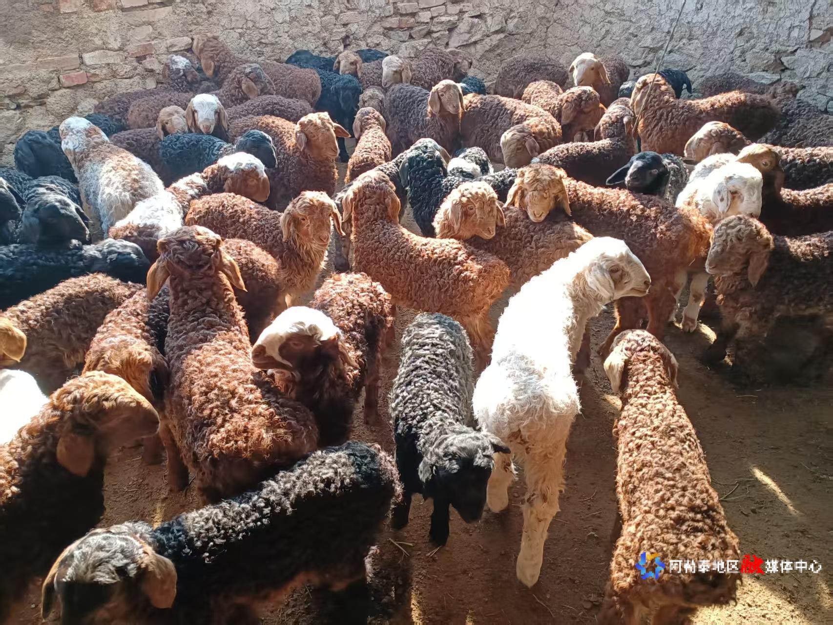 mmexport1743349937025