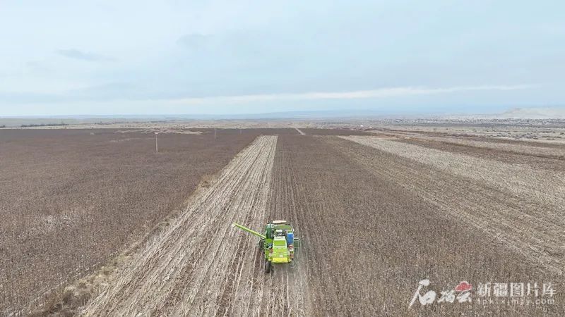 mmexport1746682765882