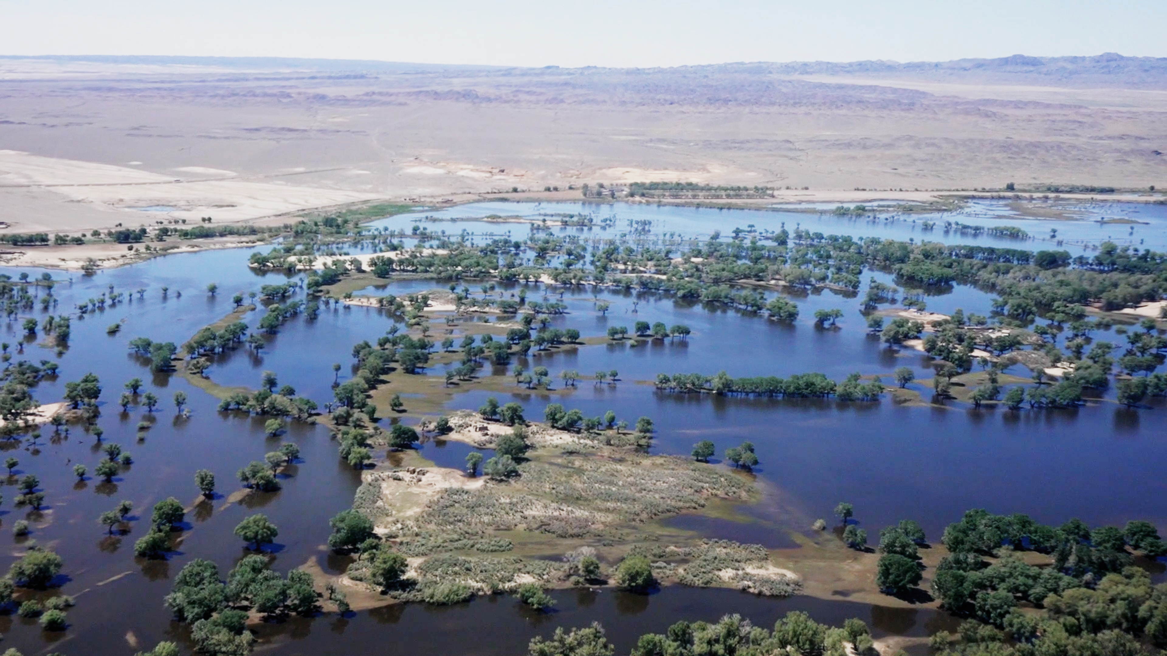 mmexport1749651875567