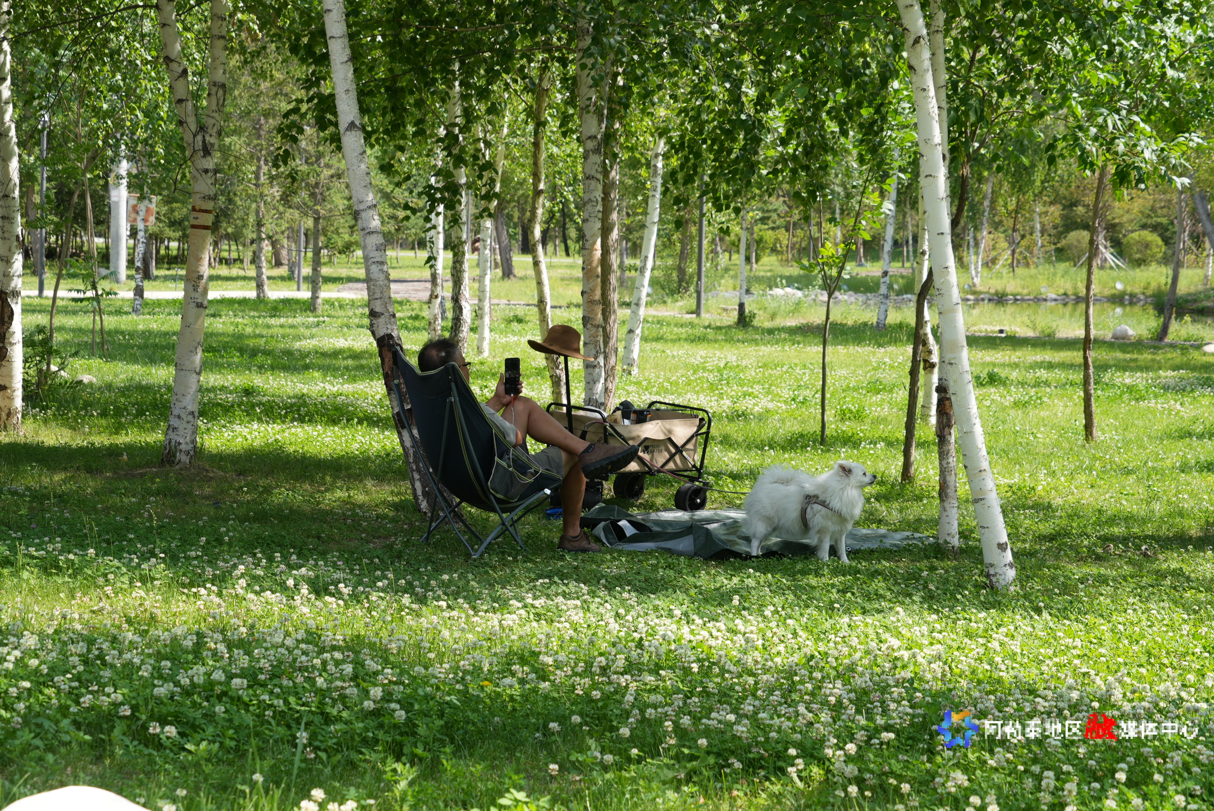 mmexport1749732050158