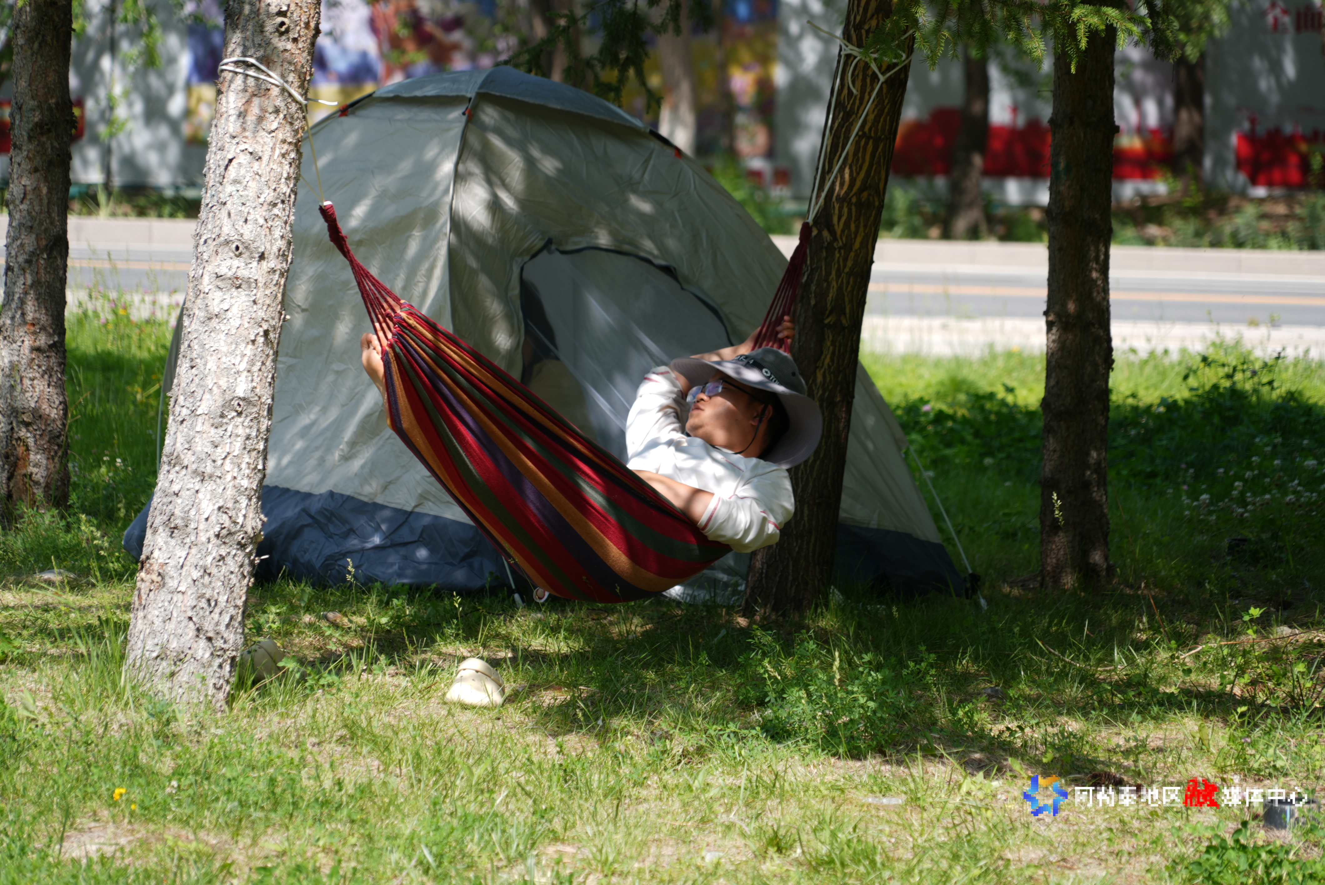 mmexport1749732045762