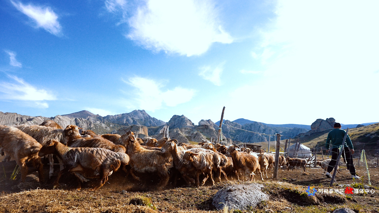 mmexport1753166657549