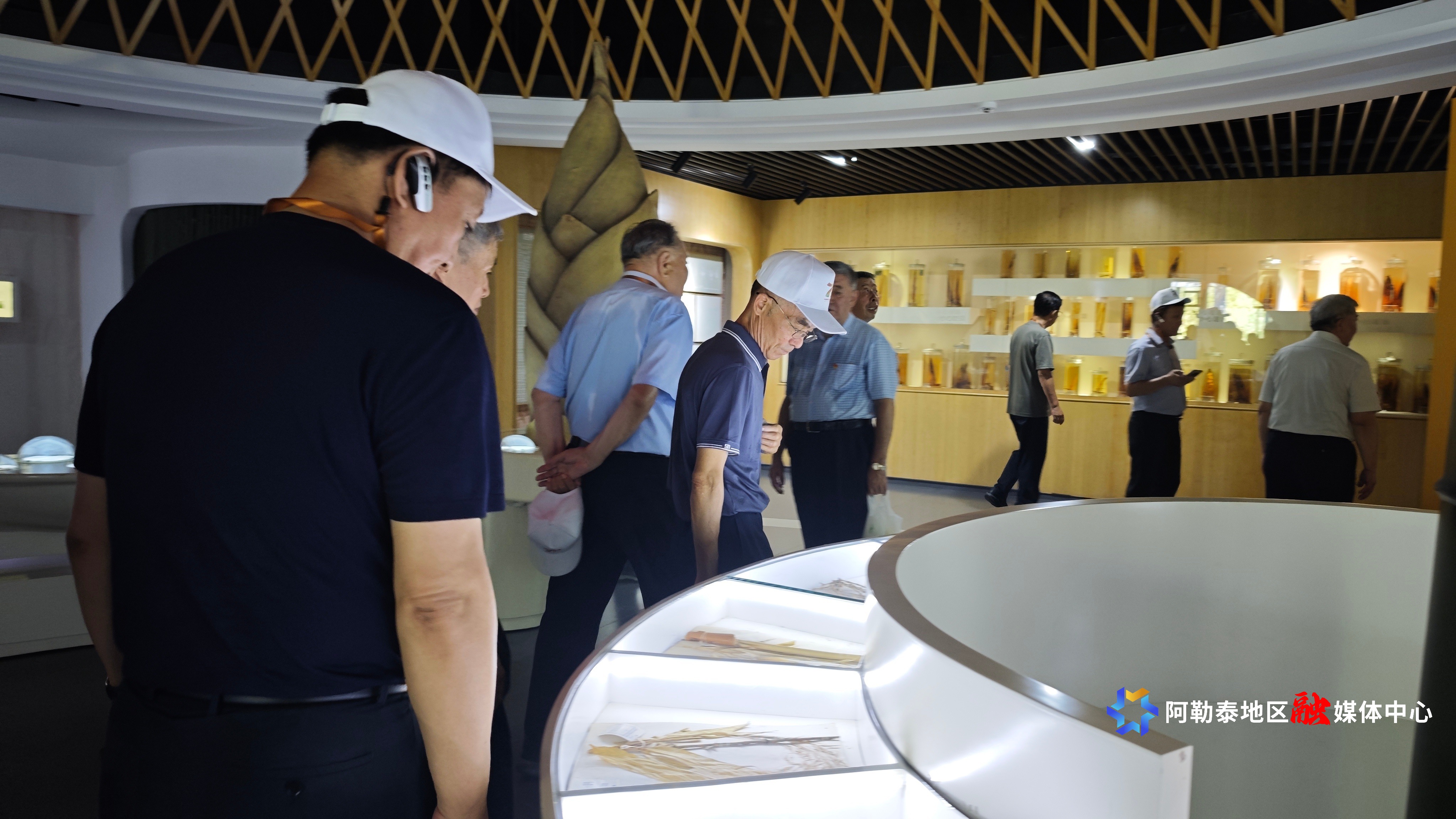 MVIMG_20250915_131943