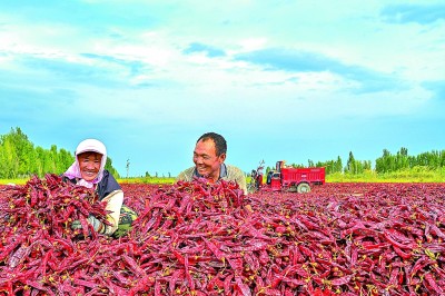 天山南北处处呈现繁荣景象 天山南北处处呈现繁荣景象