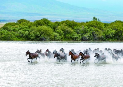 天山南北处处呈现繁荣景象 天山南北处处呈现繁荣景象
