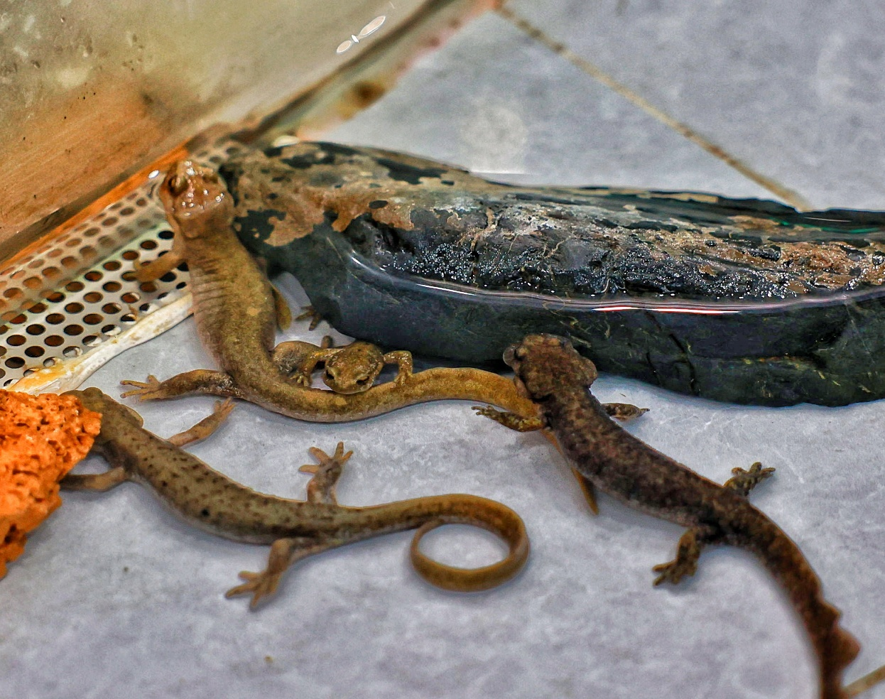 19241243118432583 58F92C35@6A56A040.png